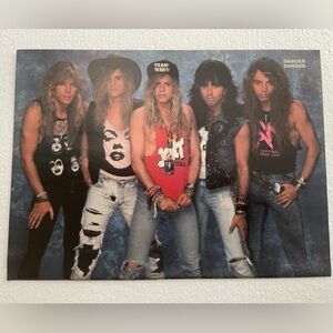 Vintage Danger Danger Pinup